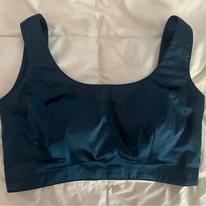 Blue Indian Saree Blouse Top!